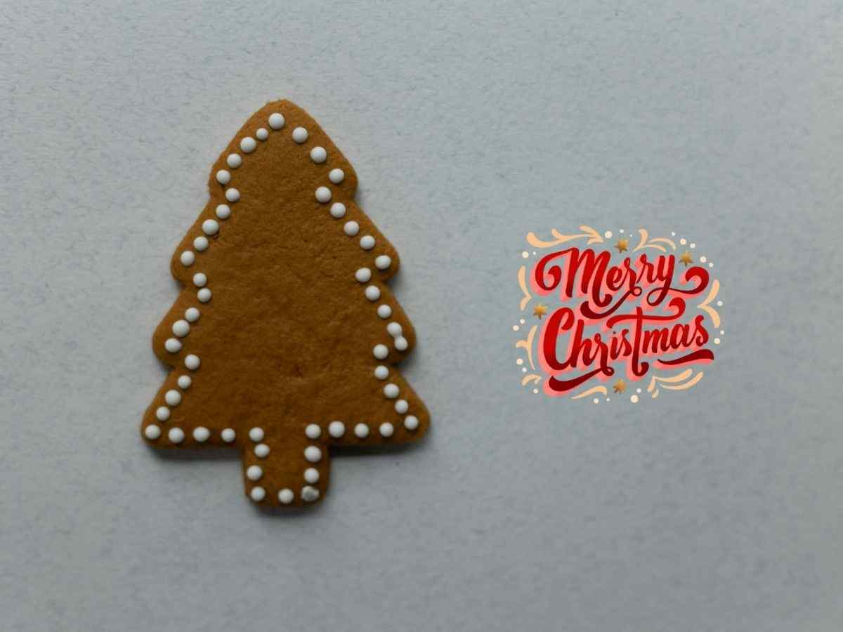 A ginger christmas tree cookie adorned with a festive "merry christmas" message, perfect for holiday celebrations.