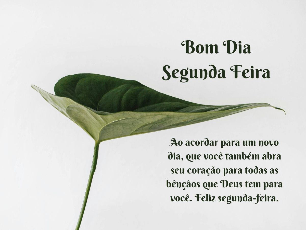 Uma imagem alegre retratando uma cena matinal brilhante com o texto bom dia segunda-feira em cores vibrantes.