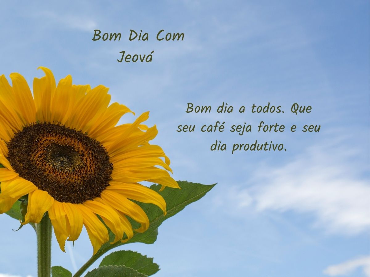 Girassol em destaque com a frase "Bom dia com Jeová", promovendo uma atmosfera de esperança e alegria matinal.