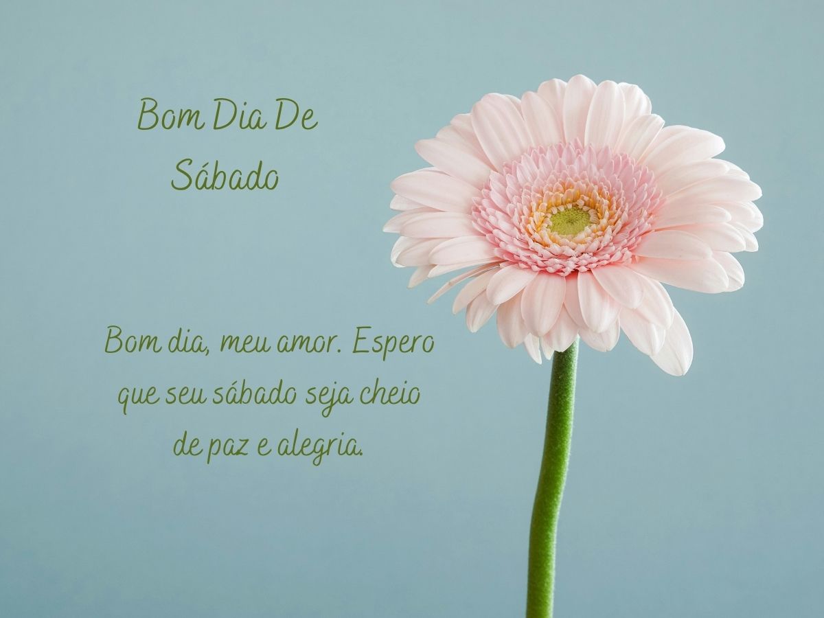 Texto "Bom dia de sábado" em uma imagem vibrante, evocando um sentimento de alegria e boas energias para o dia.