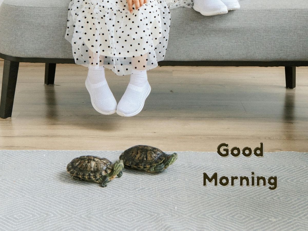 Two children sitting on a couch, smiling at a turtle resting between them, creating a warm and playful scene.