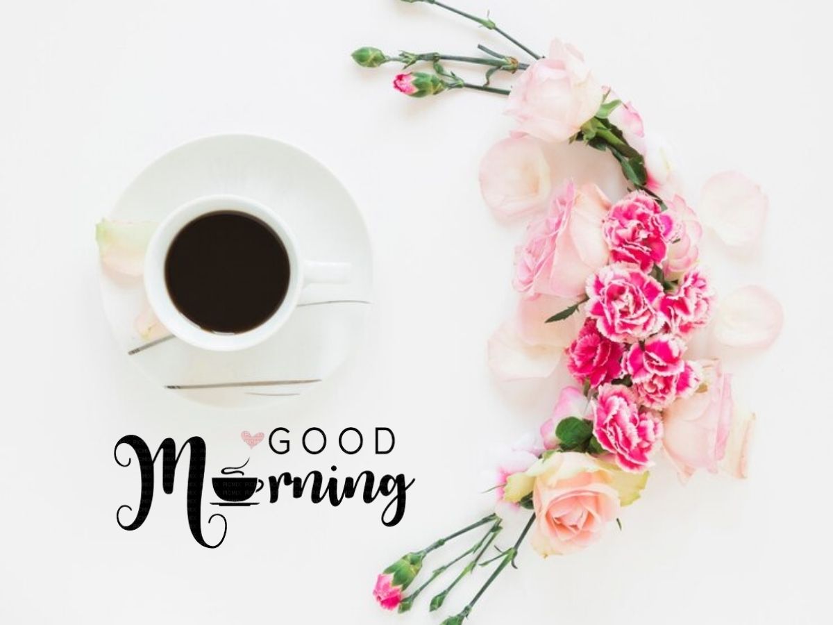 A vibrant bouquet of colorful flowers arranged in a morning setting, symbolizing a cheerful start to the day. g morning images